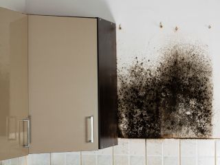 Mold Removal Services | Drywall Repair & Remodeling Glendale CA Before-and-After: Effective Mold Removal by Drywall Repair & Remodeling Glendale